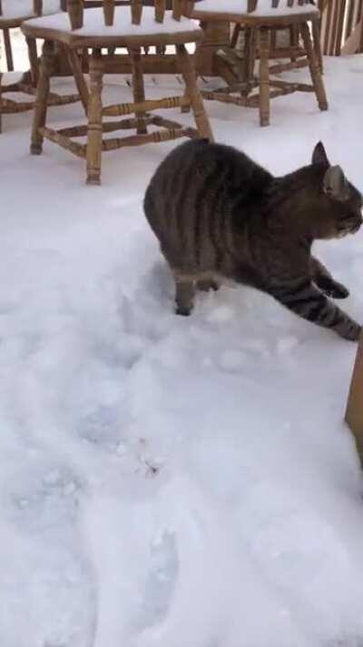 He mad about the snow