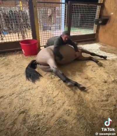 That must have felt amazing