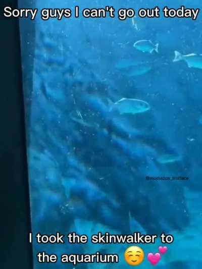 Ayo he isn't actually that bad, he just wanted to go see the fishes 🤗