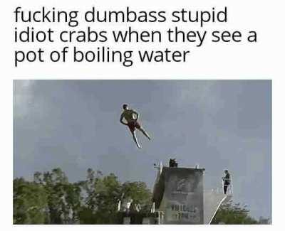 Why have I seen like 12 separate videos of crabs cooking themselves