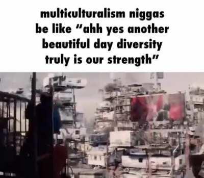What multiculturalism does to a mf