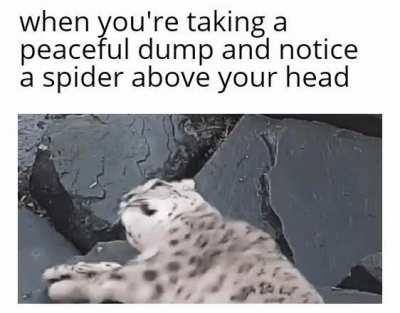 He be vibin up there tho