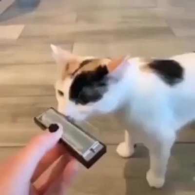 snfnsmdmsmxmamanxmdmflvvxXNCMDMZZXXXXKEMFGS 