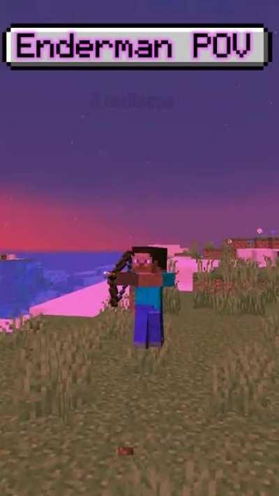 I made this video showing what its like being an Enderman