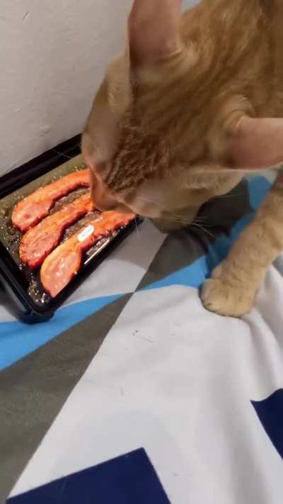 WHILE I LICK THE PORK