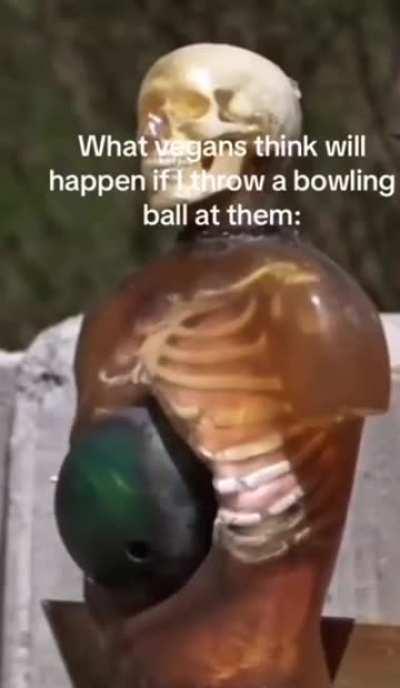 Those damn vegans always be overreacting 