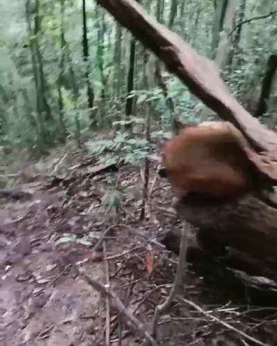 🔥 Where we droppin’, fellas?