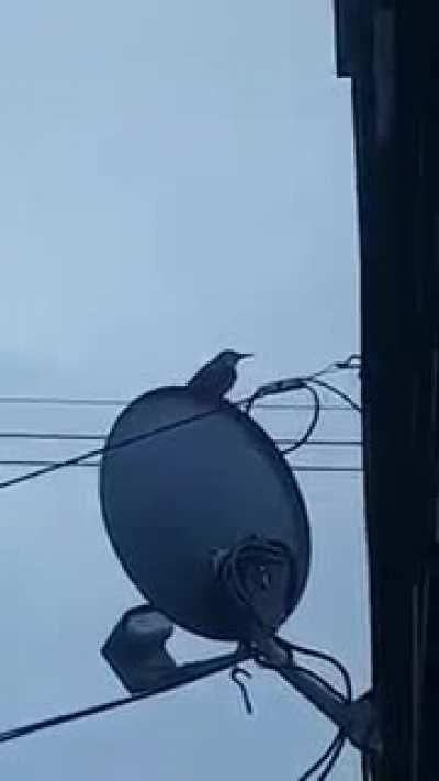 Was about to kill someone thinking their doing construction at 6am on a Sunday...