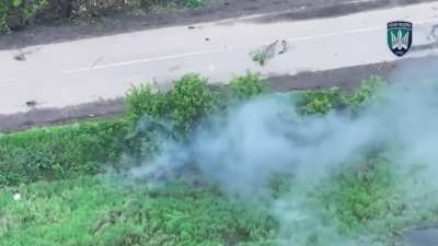 Madyar's Birds eliminate Russian soldiers with FPV drones, May 2025