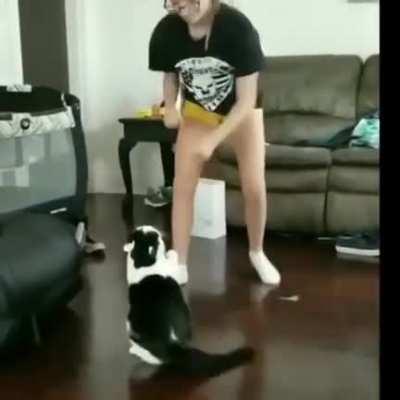 Cat : let me finish what u started!