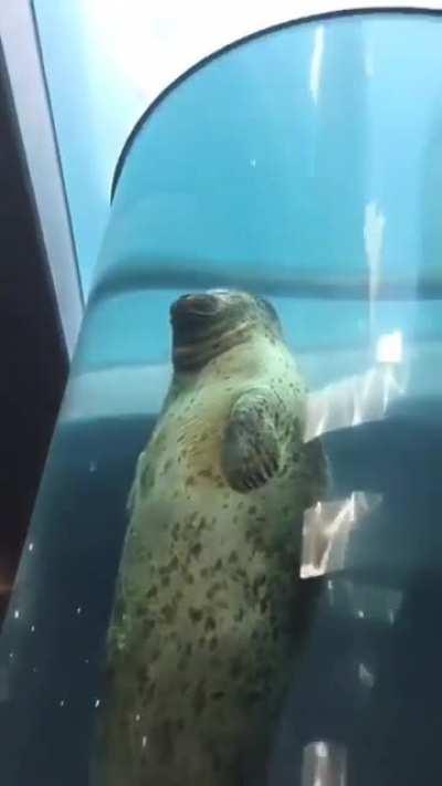 [Meta] Please stop posting the fire extinguisher gif