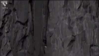 What a wonderful world…