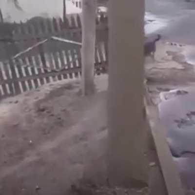 Maybe maybe maybe