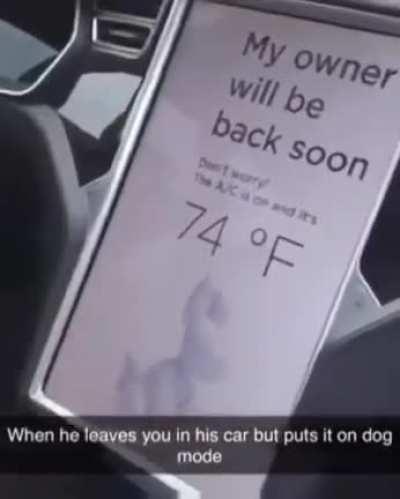 girlfriend getting treated like a dog.