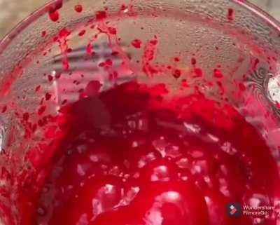 Making Red Lipstick from Cochineal