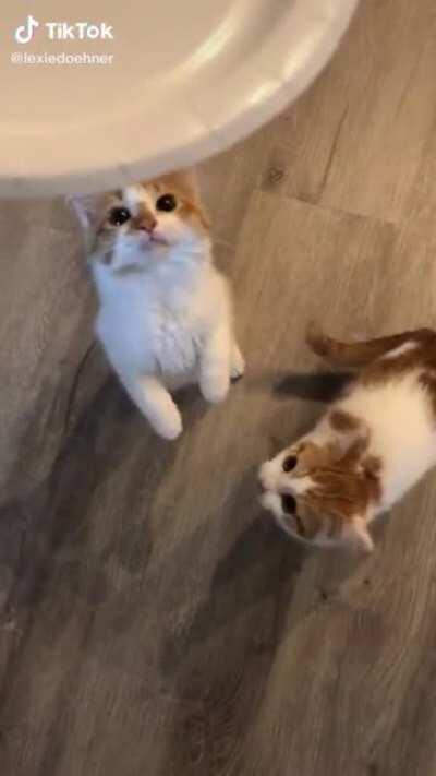 The disappointment in their eyes...