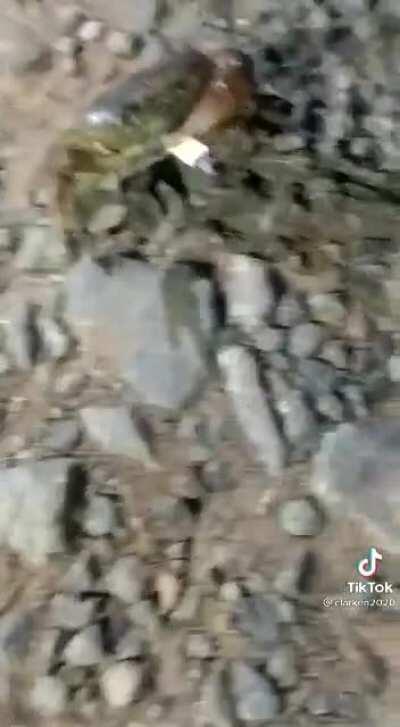 No Dario, el tabaco es malo