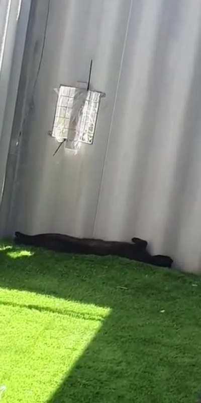 Found this guy thinking about the meaning of life