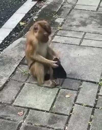 To put on a face mask correctly.