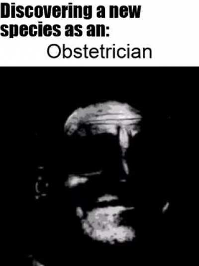 a meme about discovering new species as different professions