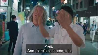 [Fluff] You own cats right?