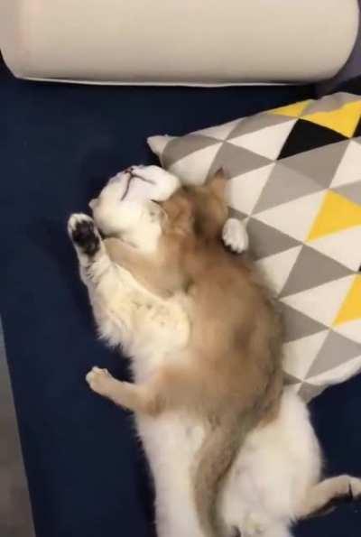 Nice family vacation