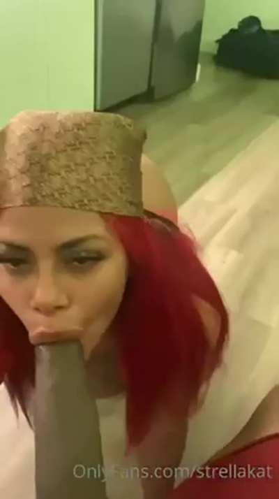 dominican strella kat blowjob