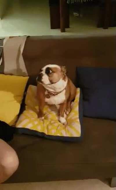 Not to worry you, but there's a demon on the couch