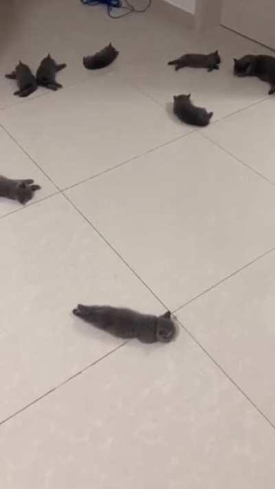 Где лег – там и кровать