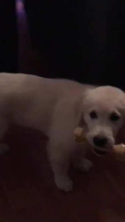 1 second clips of my boy growing up- 8 weeks to 2 years old