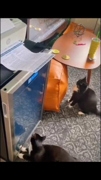 Startling yet intriguing