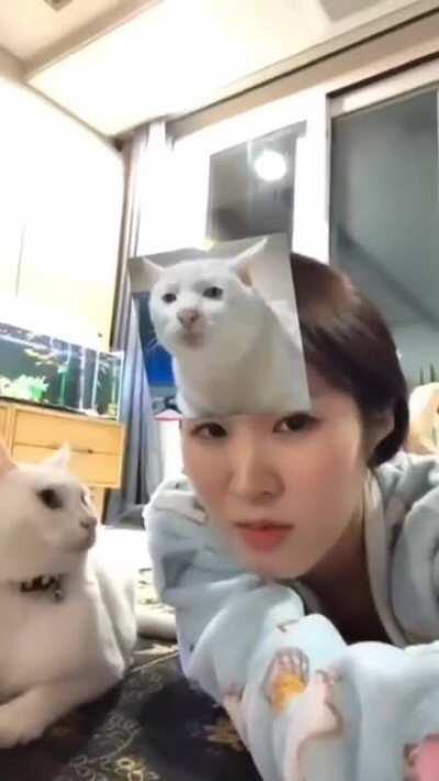 Killedthecamerawoman (via: r/instantregret)