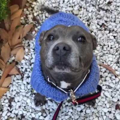 Are you feeling blue?