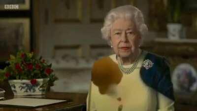 GLUE ON QUEEN BABBIIEEEEEE