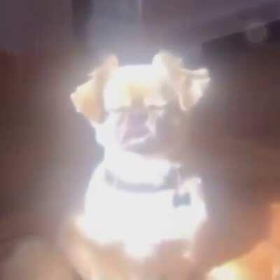 Então é isso que chamam de... PAZ INTERIOR.