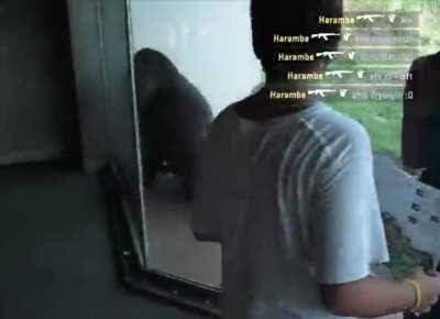 Everytime I review a case in overwatch :