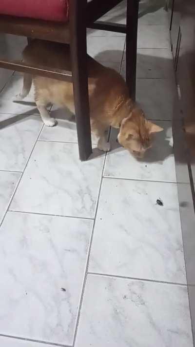 La única cosa que me gusta de primavera/verano