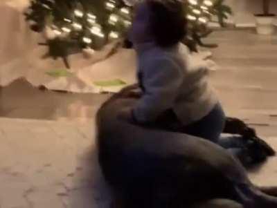 No one was hurt in the making of this video