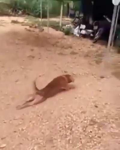 Oscar for this actor 🙄