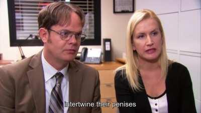 Dwight asking the hard-hitting questions
