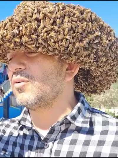 Bee hat
