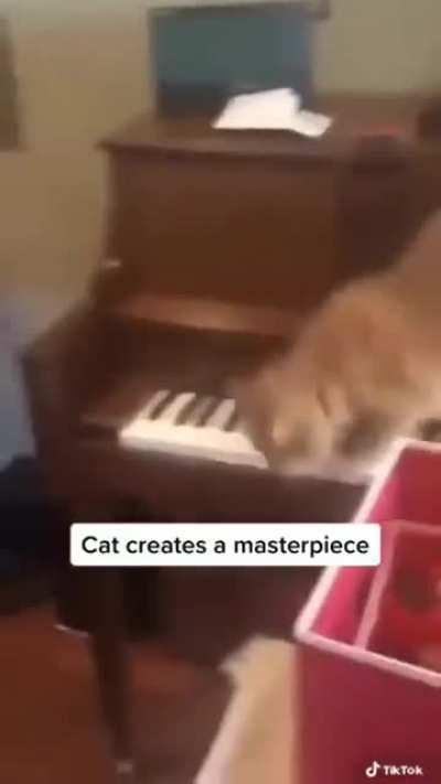 A professional pianist