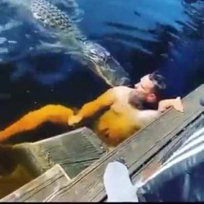Swimming with gators