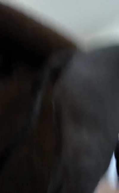 My kids found out about the red dragon today!