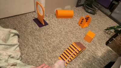 My awesome rat Carrot's turn to do some fun agility!