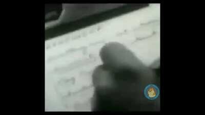 britain momento 😂😎