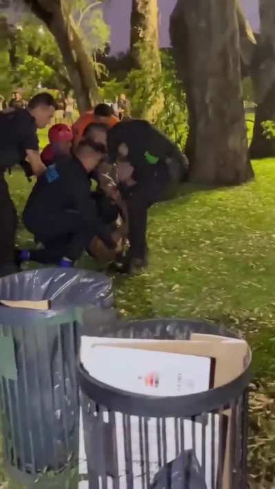 Delincuente cometió ilícito a una pareja y para escapar se tiro a los lagos de palermo