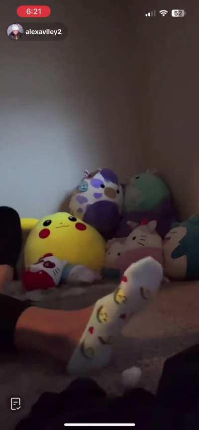 AlexaVlley2 Closeups