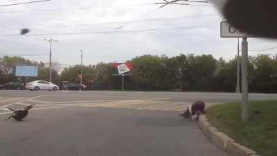 Подустал чет, прилягу.