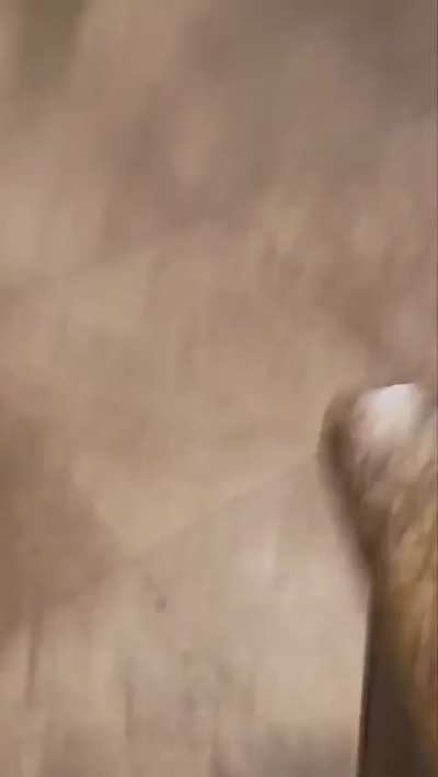 USMC Sgt. Jason Frink was arrested in San Diego after allegedly becoming aggressive over a missing hotel reservation and attacking two female employees. He’s now charged with misdemeanor assault and battery